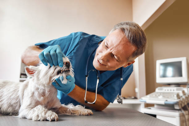 Best Walk-In Emergency Dentist in Anderson, IN